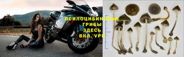 спайс Абинск